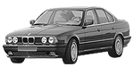 BMW E34 C265E Fault Code